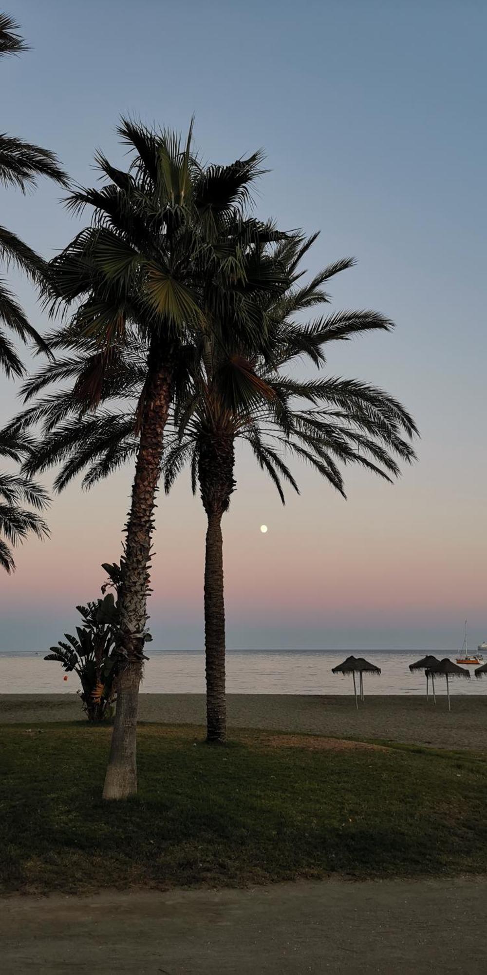Encantador Bajo En Malaga Ngoại thất bức ảnh